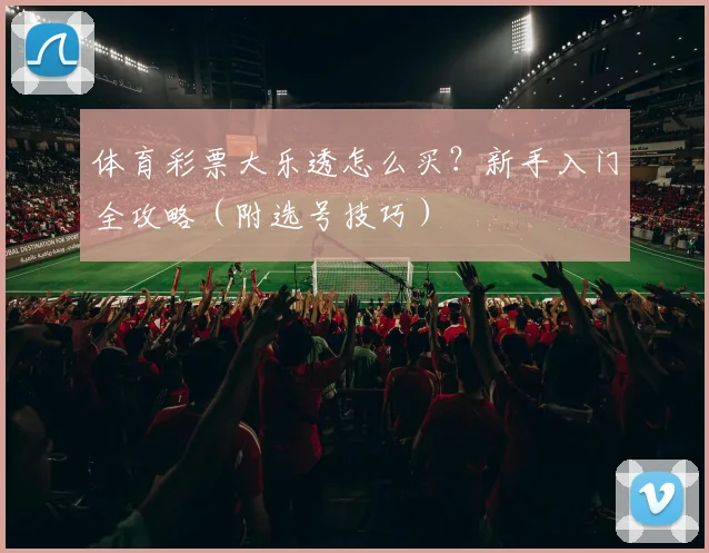 体育彩票大乐透怎么买？新手入门全攻略（附选号技巧）